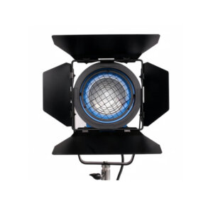 Professional Spotlight Fresnel Studio Light 2000W