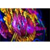 Antari DarkFX Strip 1020 40Â° Beam UV Fixture